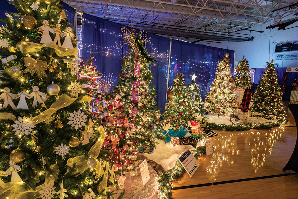 Festival of Trees raises much needed funds to allow The Arc Tampa Bay to continue its mission to support and empower people with intellectual and developmental disabilities (I/DD). Your support will directly impact The Arc’s programs and services.